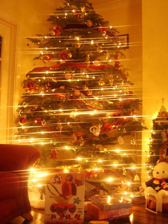 Name:  xmastree.jpg
Views: 1443
Size:  41.2 KB